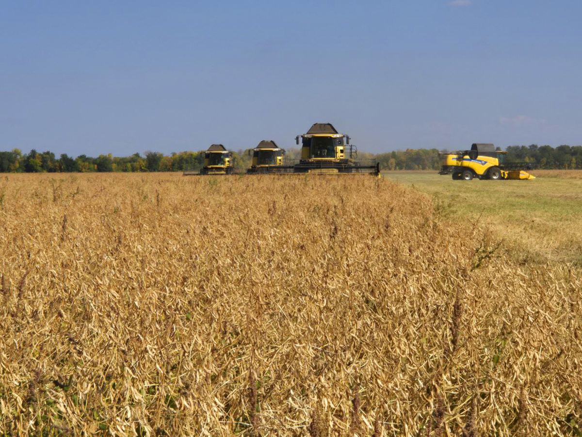Герман Сиваков: «Основная цель — это обеспечение людей качественной и вкусной аграрной продукцией»