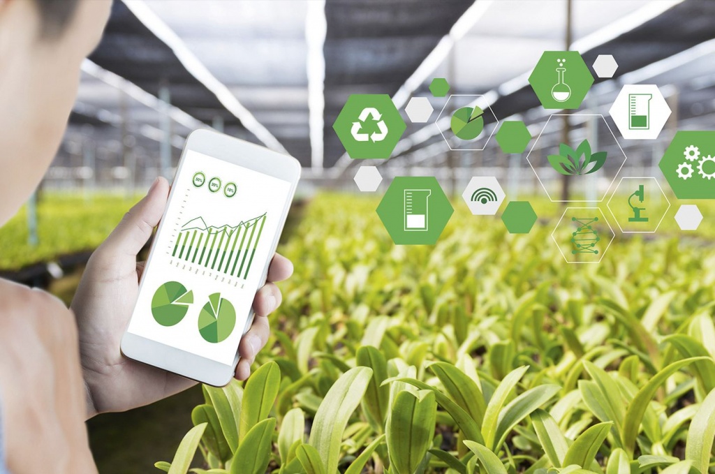 IoT для фермера: технологии и перспективы