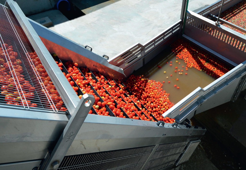 Под Астраханью открыли крупнейший в России завод томатной пасты стоимостью 4 млрд руб. Предприятие позволит заменить свыше 20% импорта в Россию