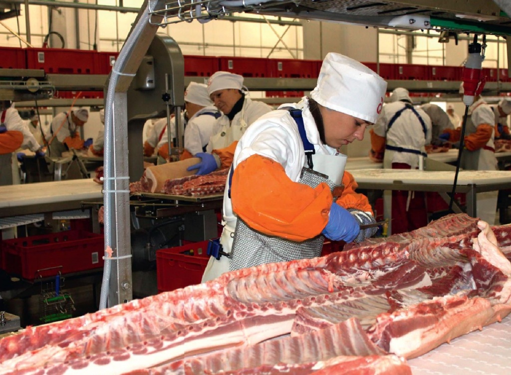 Сумма инвестиций в строительство нового мясоперерабатывающего завода в Белгородской области составила 2,6 млрд рублей. Проект реализован ГК «Агро-Белогорье»