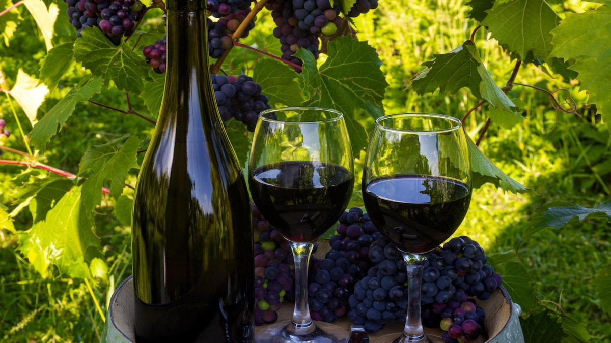 Виноградарские и винодельческие предприятия донского региона по итогам 2022 года удвоили объемы производства. 