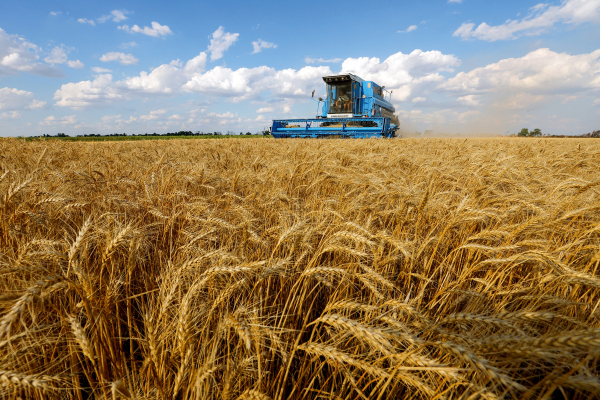 Владимир Путин: «За последние годы сельхозпроизводство превратилось в России в высокотехнологичную отрасль» 