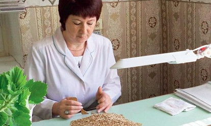 И посеять, и защитить