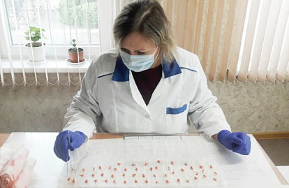 На страже донского урожая