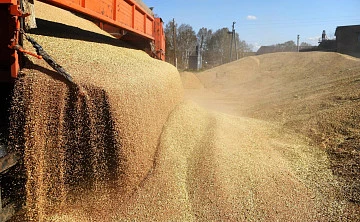 Страны БРИКС создадут зерновую биржу