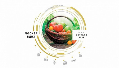 «Золотая осень» в вашем мобильном телефоне