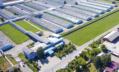 Формула успеха — преемственность и инновации 