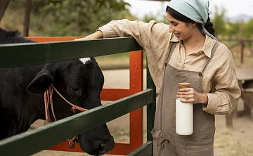 Объем реализации молока в сельхозорганизациях России вырос на 4,3%,