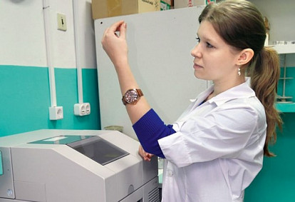 Куда полетят «золотые» пчелы