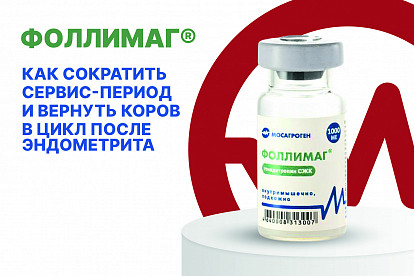 Ни дня без потерь