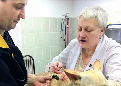Приманка для здоровья