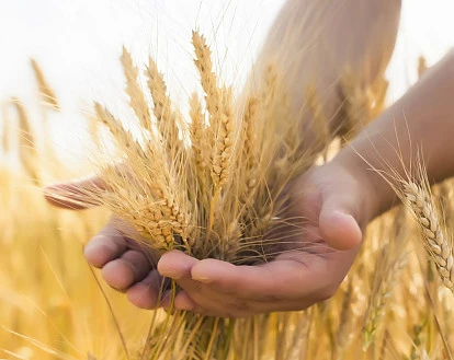 Погода не помеха