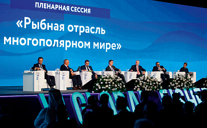 Рыбака сеть кормит