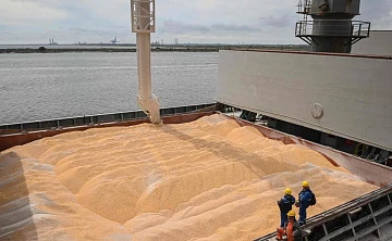 Правительство одобрило ограничения на экспорт зерна
