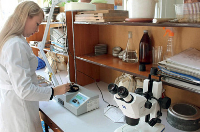 Безопасность во главе угла