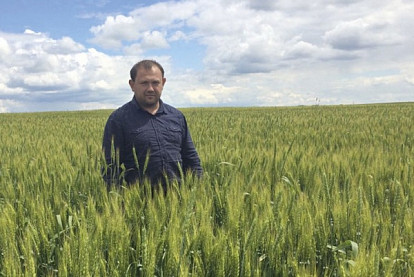 Упорство вознаграждается