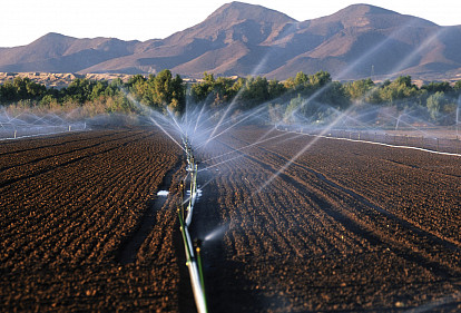 Целебная влага