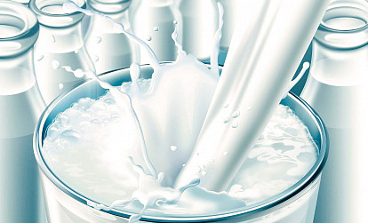 От фермы до стола