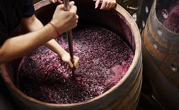 В 2024 году на развитие виноградарства и виноделия в стране выделят более 4 млрд рублей