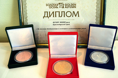 Флагман рисовых морей