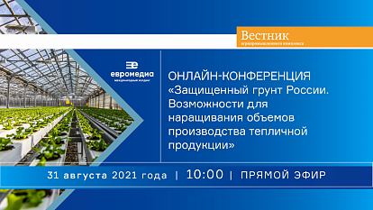 Международный холдинг «ЕвроМедиа» проведет онлайн-конференцию, посвященную перспективам развития тепличной отрасли в России