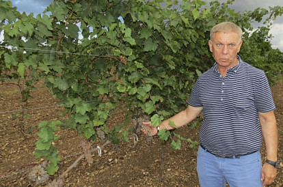 Всегда с плюсом
