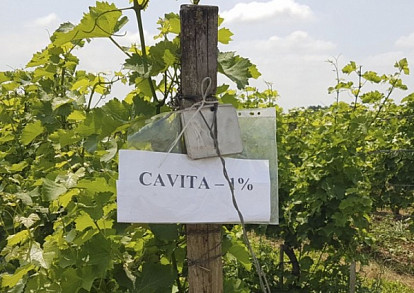 Приумножить урожай, сберечь землю