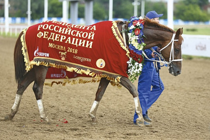 Стремительная красота