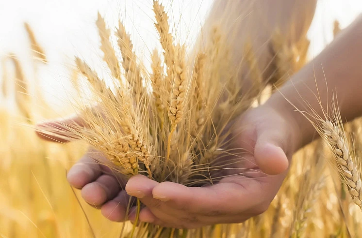 Погода не помеха