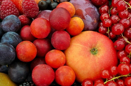 На Дону стало больше плодов и ягод